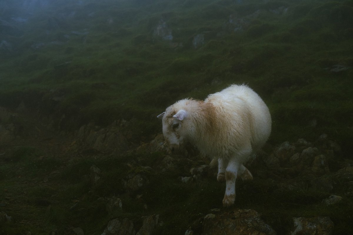 savo2sav's tweet photo. Photos from my trip to wales this weekend (Rotate for the landscape ones) https://t.co/jhGL03E9bD