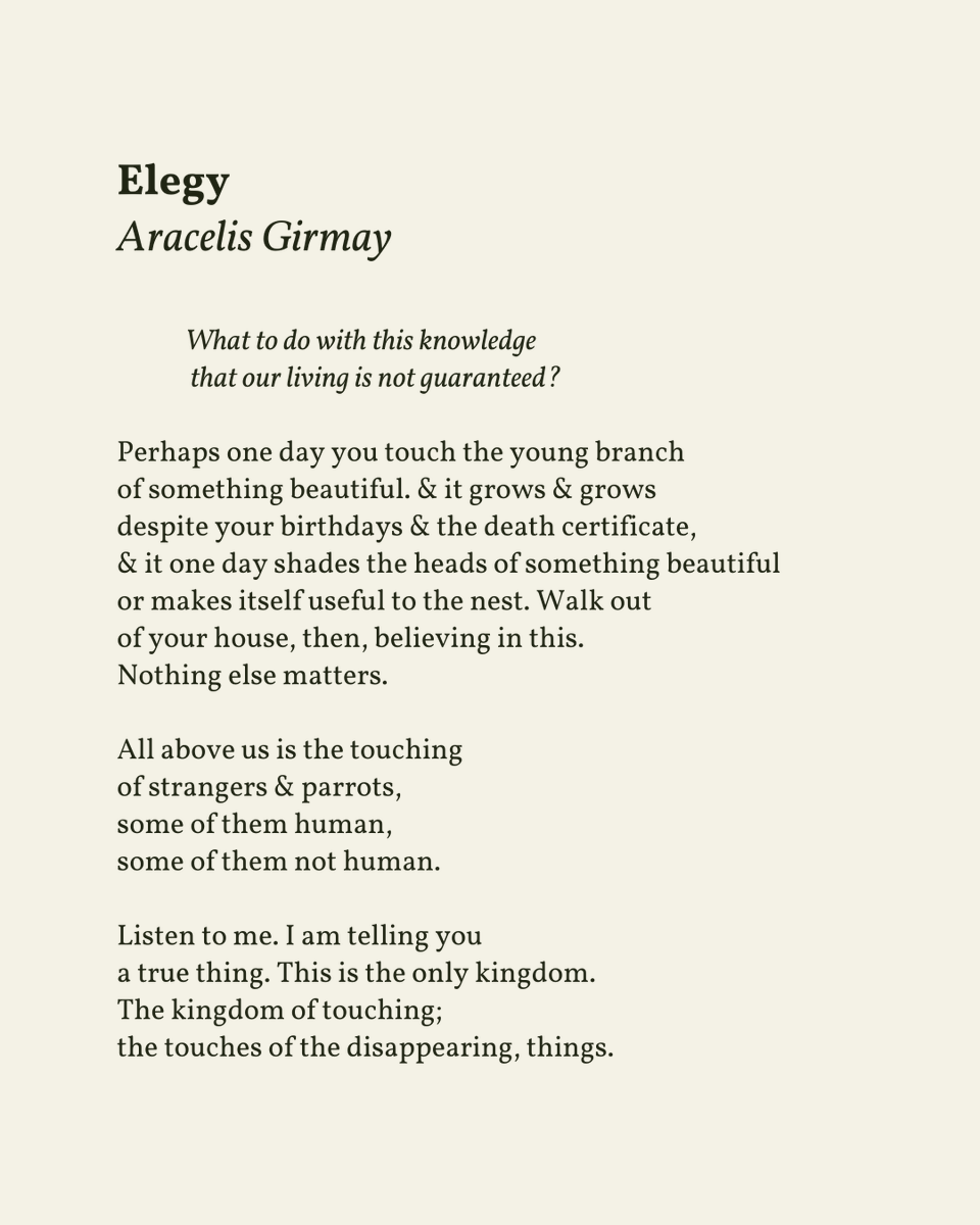 “This is the only kingdom. / The kingdom of touching; / the touches of the disappearing, things.”

— Aracelis Girmay

.
.
.

This poem appeared in Kingdom Animalia by Aracelis Girmay, published by BOA Editions Ltd., 2011. Shared here with deep gratitude.