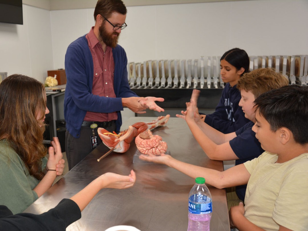 ttuhscson's tweet image. π£ 2 days left to register for Middle School to Medical School Summer Camp with @TTUHSC School of Medicine & @TTUHSCSON students!
ποΈ July 8th-10th
βοΈ Registration ends: July 2nd
πRegistration Link: ow.ly/oc2e50Wi5eo
π©For more information contact: somadm@ttuhsc.edu