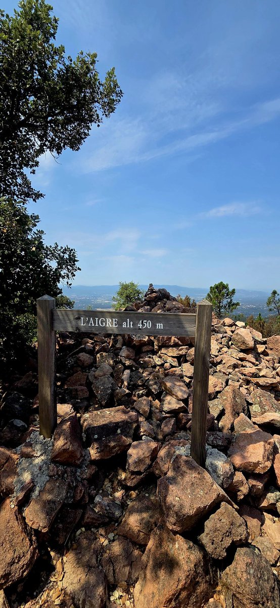 Heute wieder Gipfelwanderung auf 450 m! Reicht auch bei tierischer Hitze! 😬
