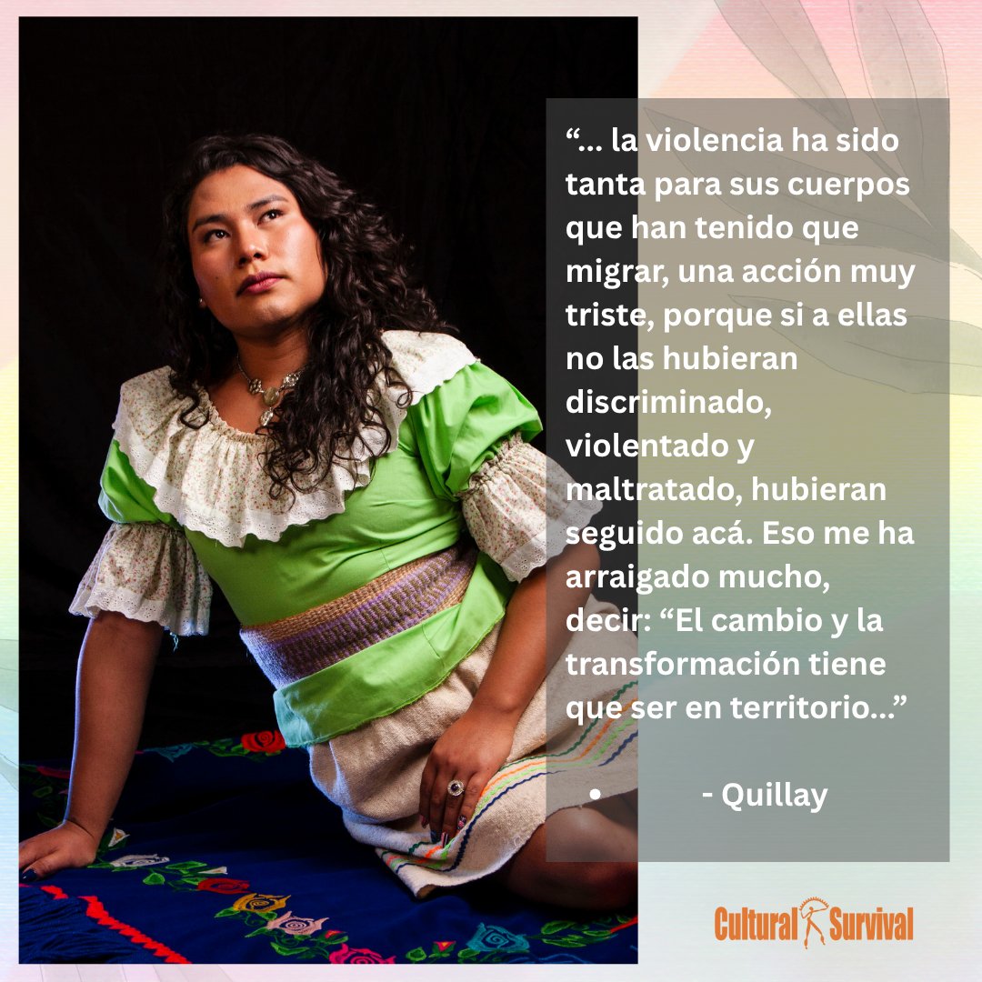 🌈Este #MesdelOrgullo, CS celebra el liderazgo de nuestrxs jóvenes becarixs Indígenas, pasado, presente y futuro. 
Quillay y su trabajo: tinyurl.com/e6u3mxv3
Información sobre nuestrxs becarixs de 2025: tinyurl.com/5d9hcjnu