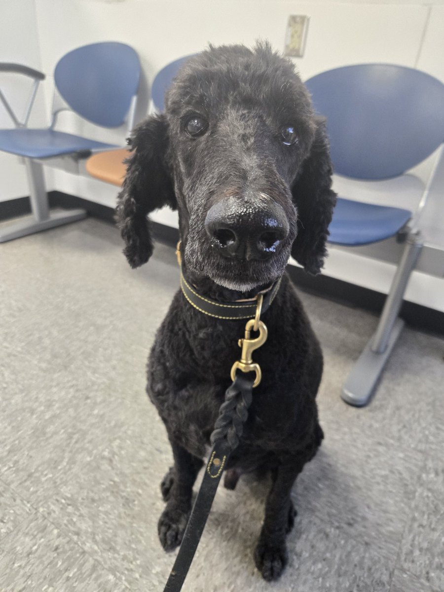 just(tif) for all ⚖️ tweet media