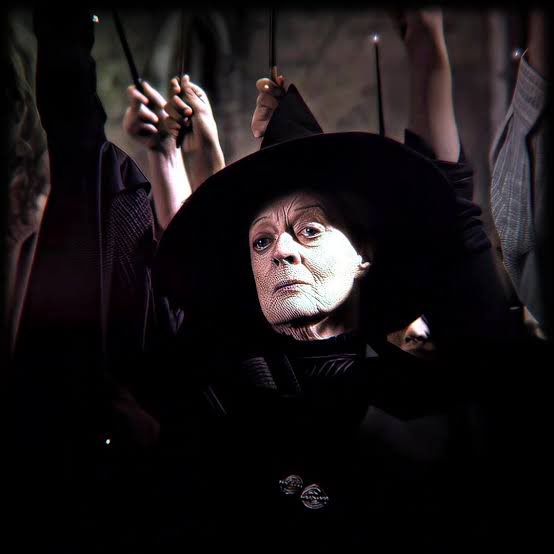 Mad__Herve's tweet photo. 6月30日 偉大な校長へ祈りを

#RIPDumbledore #RIPAlbusDumbledore https://t.co/QJ7kMIRbgh