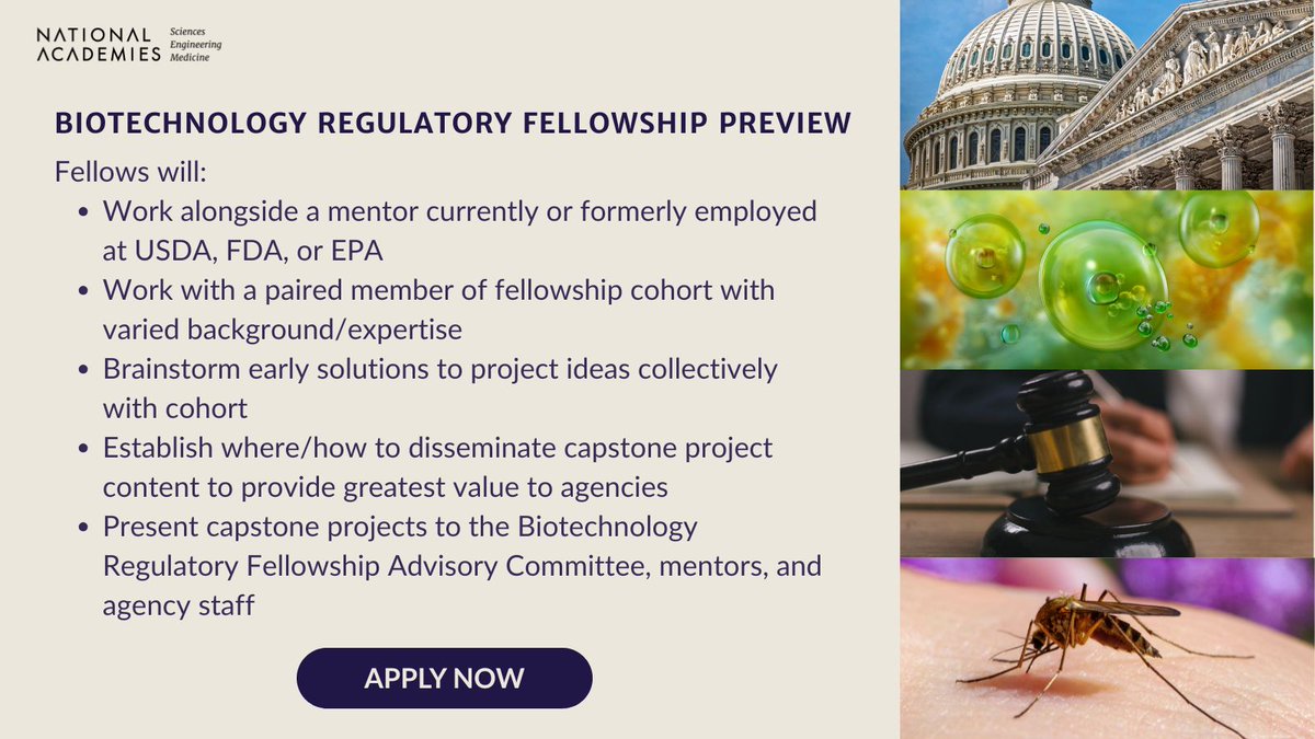 NASEM_BioRegFS's tweet image. Biotechnology Regulatory Fellowship Preview! Work with mentors at USDA, EPA, or FDA, tackle real biotechnology regulation, and collaborate across disciplines.
Apply now: ow.ly/Ei3550WamXO
#BiotechnologyFellowship #STEMandPolicy #ApplyNow