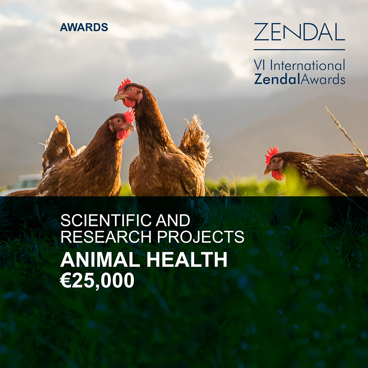 Zendal (@zendalgroup) on Twitter photo Do you have a scientific research project in animal health? This opportunity is for you!
📅 Deadline: September 19
🏆 Animal Health: €25,000
zendal.com/zendal-awards
#Awards #OneHealth #Science #Innovation #AnimalHealth Do you have a scientific research project in animal health? This opportunity is for you!
📅 Deadline: September 19
🏆 Animal Health: €25,000
zendal.com/zendal-awards
#Awards #OneHealth #Science #Innovation #AnimalHealth