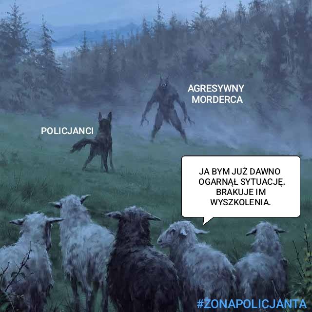 Nie znalazłem dziś lepszego podsumowania tego, co obserwuje w social mediach. Od ekspertów w zakresie pościgów, strzelectwa, dronów i pracy służb zaroiły się polskie socjale.