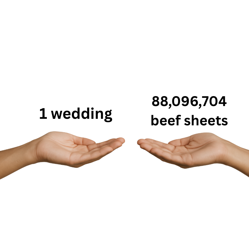 steak_umm's tweet image. quick you have to spend 50 million dollars, what are you choosing?