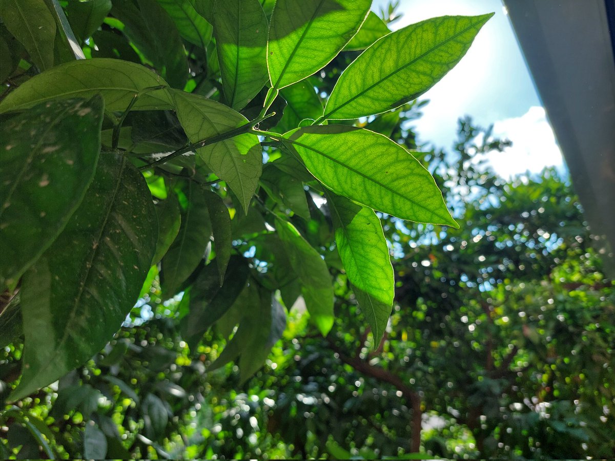 If your goal is to trade like a professional and be a consistent winner, then you must start from the premise that the solutions are in your mind and not in the market.
~Mark Douglas~

If you are using the right tools, such as Bookmap, then it's a whole different story.
~Ben~