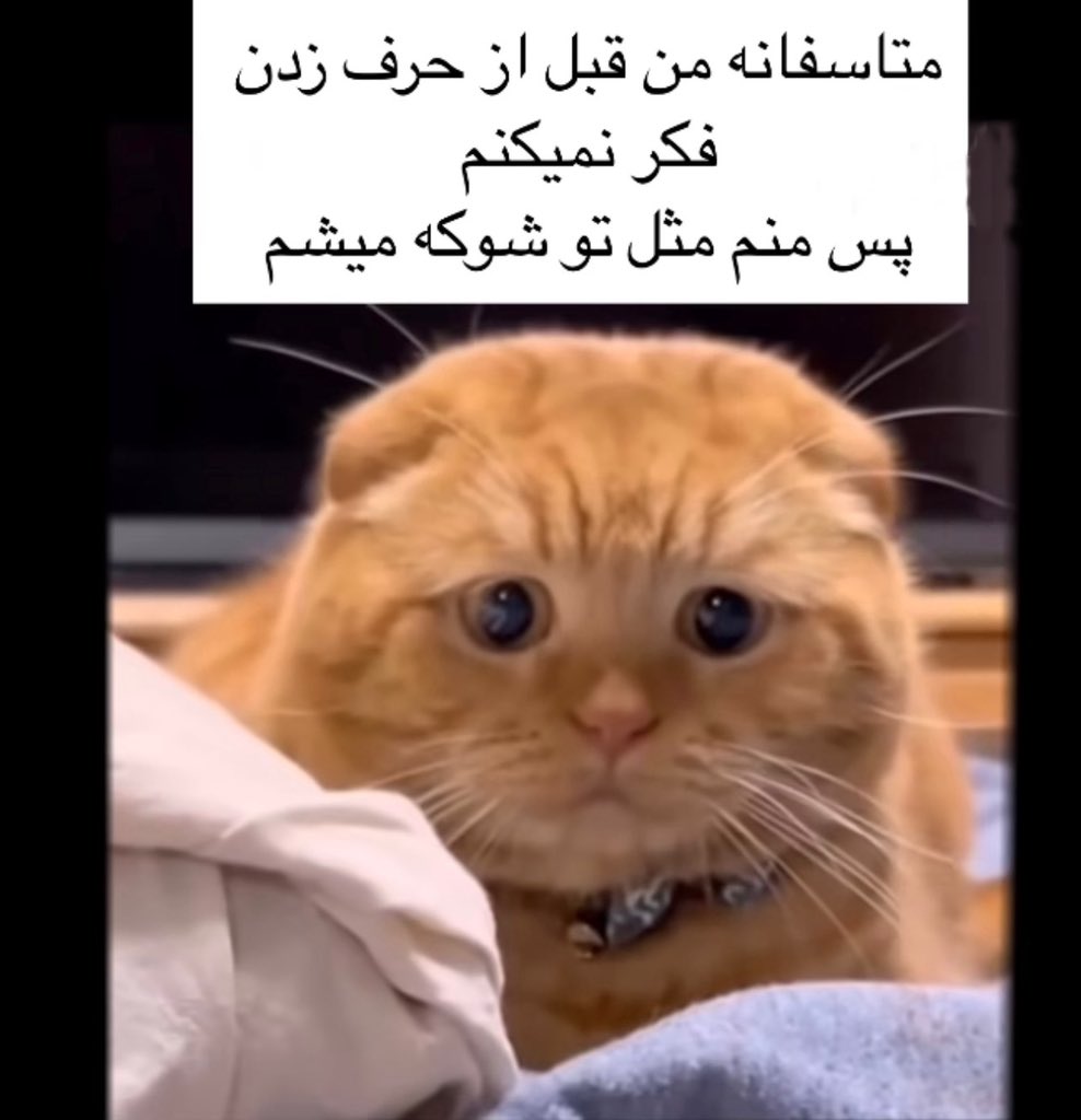 چارنى دپ (@charnidep) on Twitter photo 