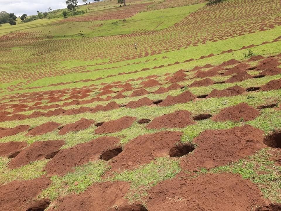 AmbTeferiTade's tweet photo. Ethiopia’s #GreenLegacy redefines climate action, ensuring food security and a greener tomorrow. #GreenEthiopia #ClimateAction #GreenLegacy https://t.co/C1mXDEKR3N