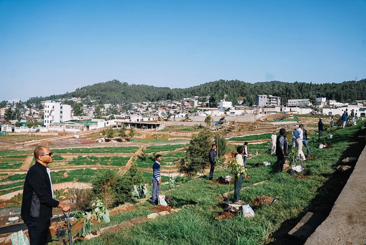 AmbTeferiTade's tweet photo. Ethiopia’s #GreenLegacy redefines climate action, ensuring food security and a greener tomorrow. #GreenEthiopia #ClimateAction #GreenLegacy https://t.co/C1mXDEKR3N