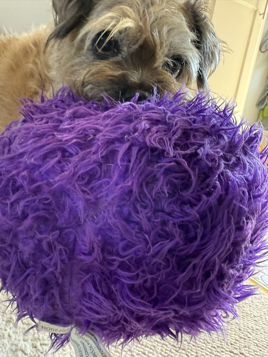 Lord Duncan Pickles tweet media