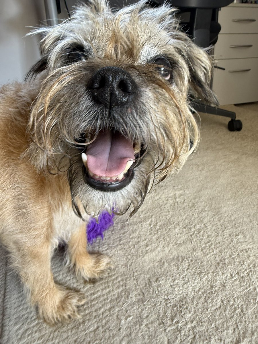 Lord Duncan Pickles tweet media