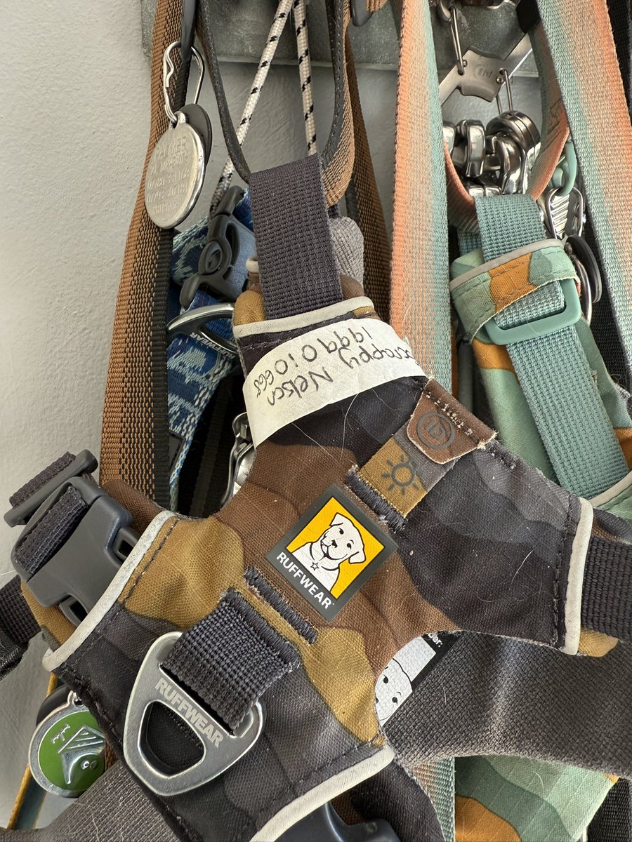 Lord Duncan Pickles tweet media