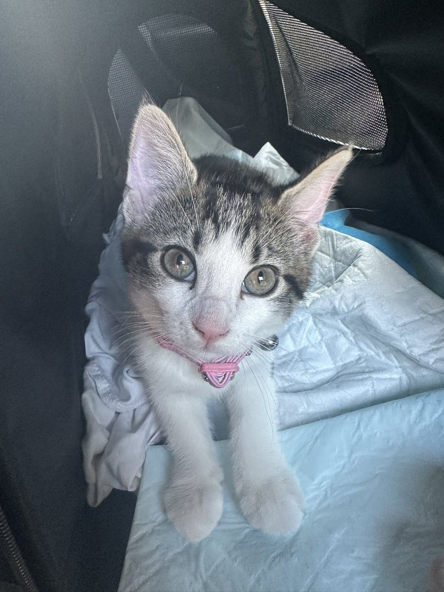 You have a funny feeling like you’re being followed…