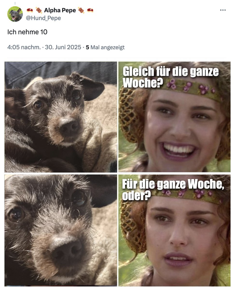 <a href="/Hund_Pepe/">🥩 🍖 Alpha Pepe 🍖 🥩</a> <a href="/germankangaroo/">König von Sydney 🇦🇺</a> <a href="/heritage_lost/">lost-heritage🇬🇧🇬🇧</a>