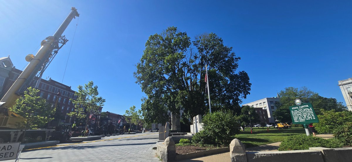 NHHouseofReps's tweet image. 🌳 Lots of activity this morning on the NH State House lawn — this historic Norway maple is being removed for safety reasons. Many have stopped by to share childhood memories tied to this tree. A true piece of Concord history. #NH #ConcordNH #NHStateHouse