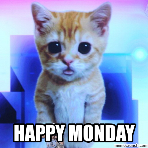 sassywriterpub's tweet photo. #MemeMondayMadness
#StartTheWeekWithMemes
#LaughAwayMonday
#MondayMoodMemes
#DankStartToTheWeek
#MemeMonday
#StartTheWeekWithMemes
#LaughAwayMonday
#MondayMood
#sassylaruedesign
#sassylarueauthor
#mercernorris
#authordonnarmercer
#sassywriterpublishing
#Kittylove
#babycat https://t.co/JHOWhIVgA9