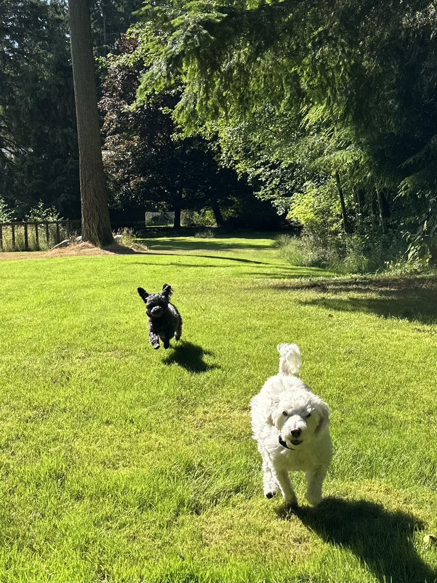 🚀Incoming!! 

We’re gonna play, laugh, love, be kind, and rock and roll this new week! 

Who’s with us? 

Always do what you love most with those you love best ❤️

Never let anyone steal your sparkle ✨

❤️Zip &amp; Zoë aka The Zees aka Zisters