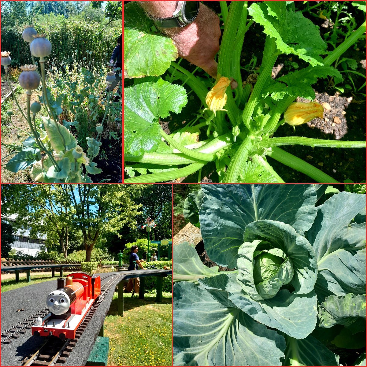 Lovely atmosphere today at Abbey Pumping Station. 
Come and join us and doing some gardening in our peaceful Paddock area or in The Forget Me Not Garden, every Monday, 10.30am-12.30

Don't forget the Grow Your Own Grub Event at Abbey Pumping Station 11am, this Saturday. Leicester