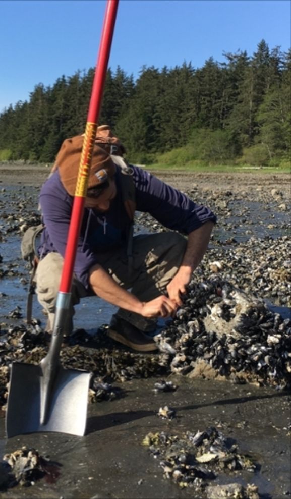 Seafish (@seafishuk) on Twitter photo Our Official Control Sampling training course is being delivered online on 31 July from 1:30pm to 4:30pm 🐚
If you're interested, find out more on our website: buff.ly/D8jL14s
Or email our onshore training team at onshore@seafish.co.uk Our Official Control Sampling training course is being delivered online on 31 July from 1:30pm to 4:30pm 🐚
If you're interested, find out more on our website: buff.ly/D8jL14s
Or email our onshore training team at onshore@seafish.co.uk