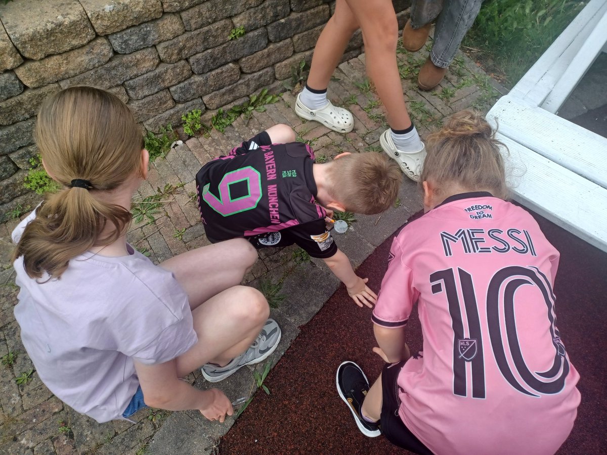 BCFRC1's tweet image. Well Done everyone we had an AMAZING #FunFilled day with you all and we can't wait to do it again with lots more #Activities so stay tuned to see what's happening tomorrow 😀              

#AnimalSounds #FishPainting #Archery #Tennis #BallSpoonRace #Songs #BugHunt #BugsOfOurOwn