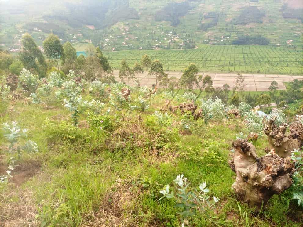 epecotge's tweet photo. ➡️More photos:👇
➡️Project: Increase forest productivity  through forest rehabilitation in Gicumbi District
➡️Activity: Young tree planted https://t.co/vasyD7uq4A