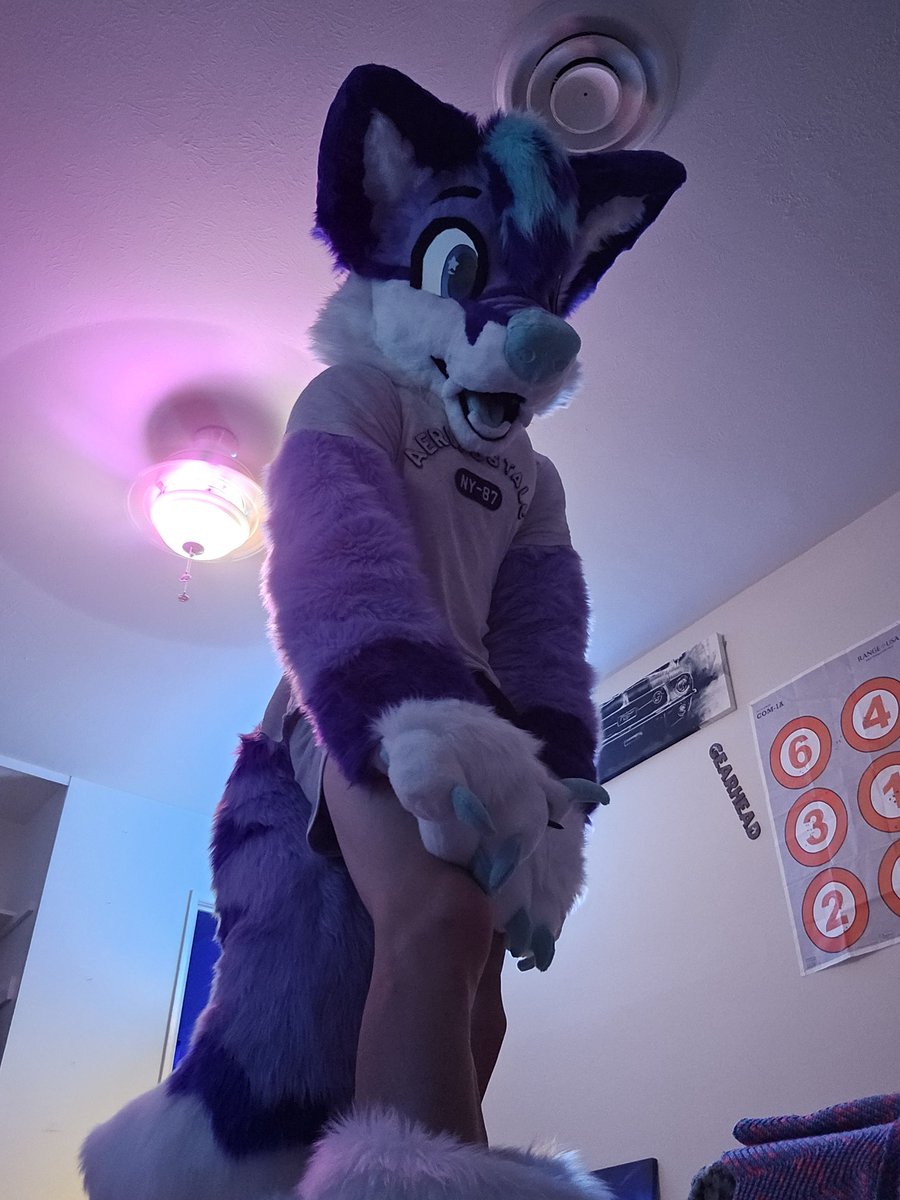 FadedFox's tweet image. How to find me at AC!!
Dont do
🚫squeak my nose without asking
🚫grab me or touch me unless you personally know me
🚫follow me around and take pictures of me
Please do!
✅️ask to take pictures with me
✅️trade stickers with me
✅️ask for hugs
✅️call me a good boy &gt;w&lt;
