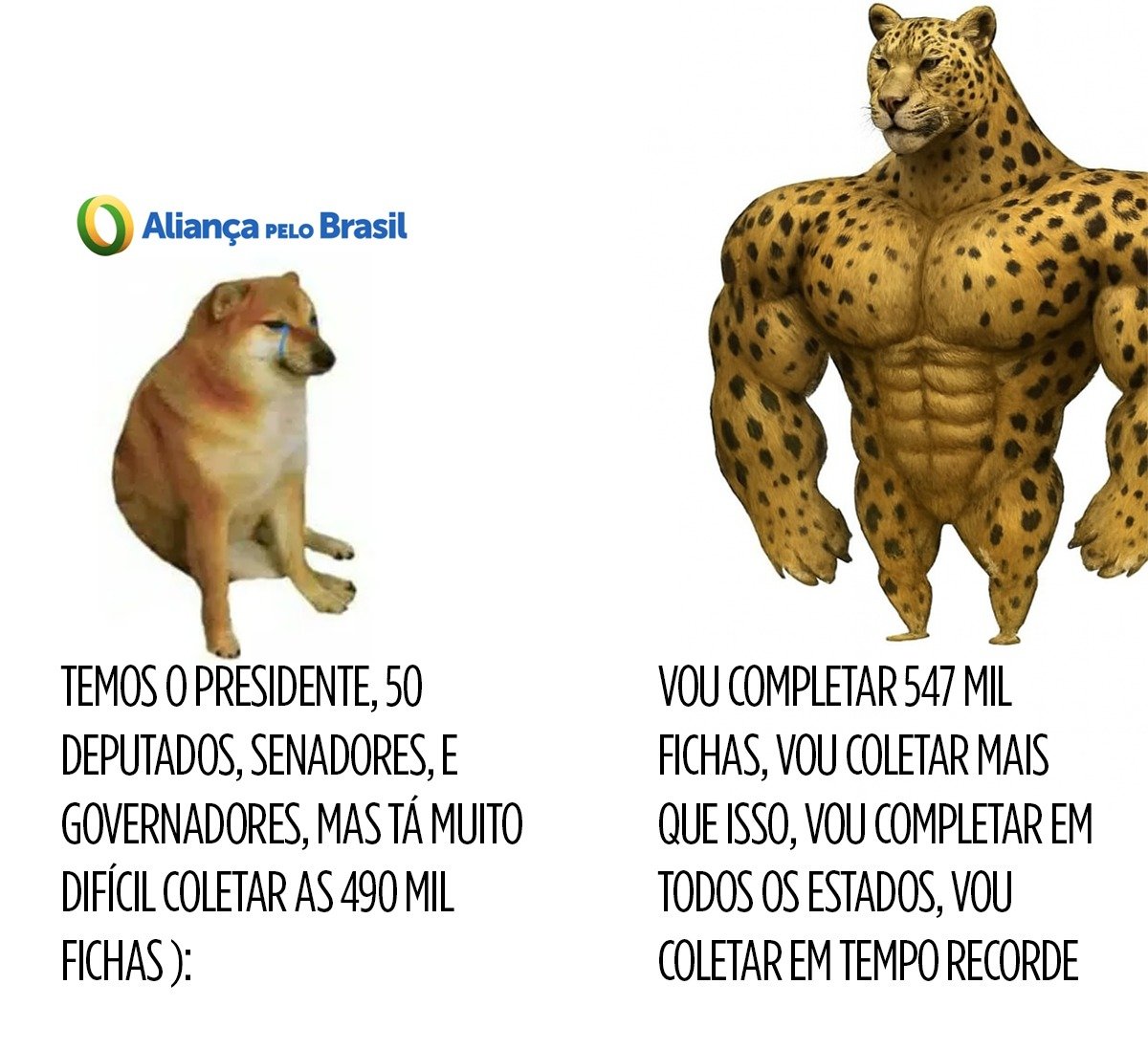 Rafael Rizzo (@rizzombl) on Twitter photo 