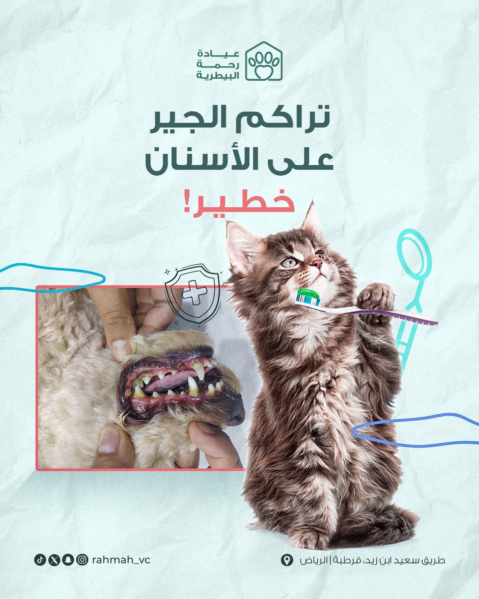 تراكم الجير على أسنان أليفك ممكن يسبب مشاكل صحية كثير!

⛔️الجير يخلّي البكتيريا تنتقل لمجرى الدم.
⛔️ويزيد خطر الإصابة بأمراض القلب والكلى والكبد.
⛔️ويسبب ألم وفقدان للشهية وحتى تغيّر في السلوك.

العناية المنتظمة بأسنان أليفك.. وقاية من مشاكل صحية كثيرة وتعزيز لجودة حياته 🦷❤️