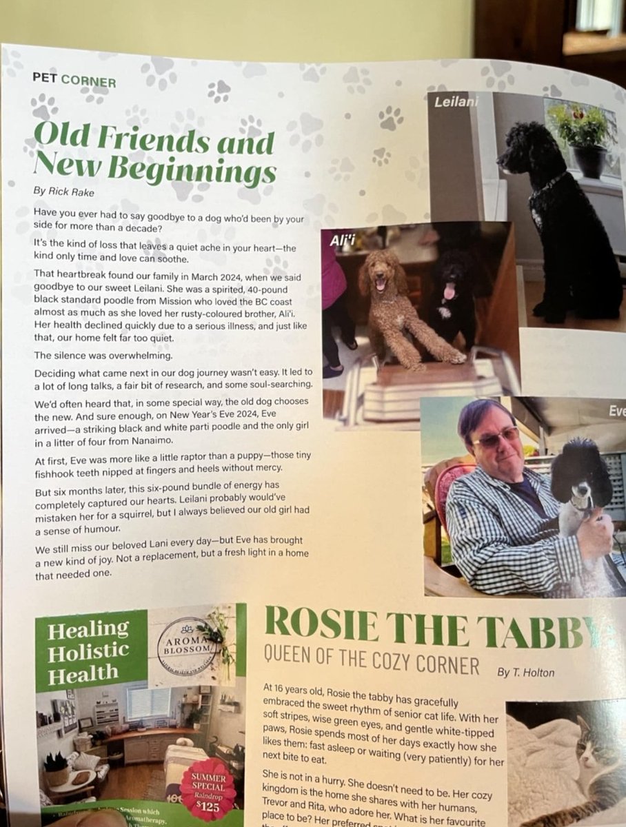 RickRake's tweet photo. Our pups take centre stage in the July 2025 Mission City Living magazine this week after a simple request for Eve's photo.  Kathleen Rake knew about a short item I contributed ... and she smiled.
Kathy made sure I had a canine soul to take care of as she battled her alien, cancer https://t.co/3qqFnCFZxX