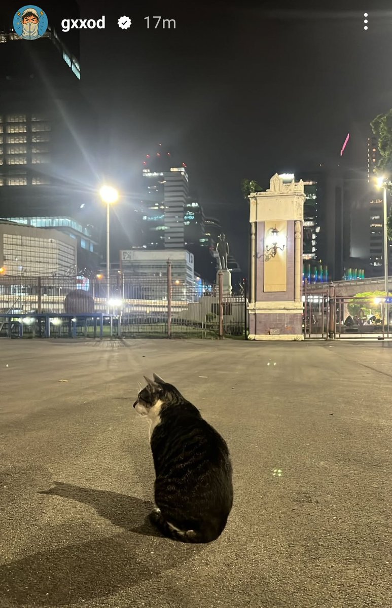 เอ็นดูน้องแมว นั่งรอแฟนเหรอ🤭