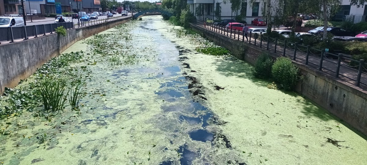 Carl Waring tweet media