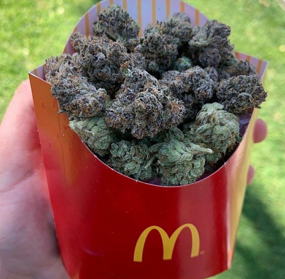 Trappy Meal 🥨
