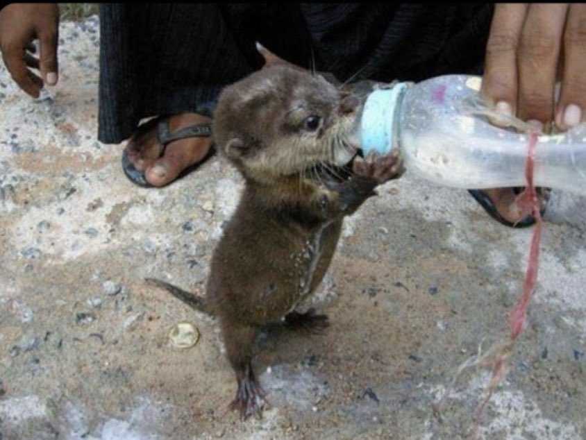 Ülkemde acı ,ülkemde masumların can kaybı var ..

 #izmiryanıyor
#Türkiyeyanıyor