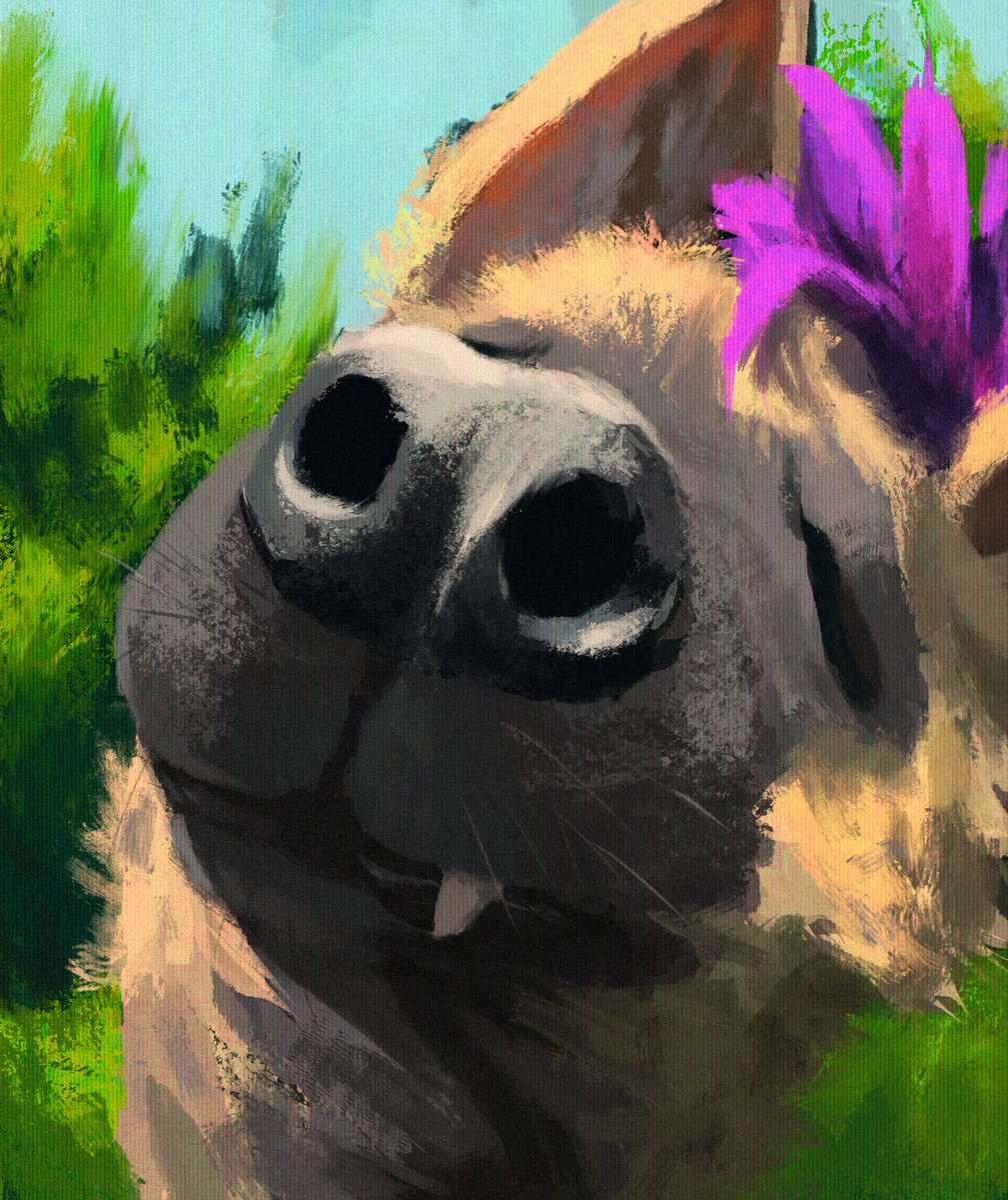 Pichichapata's tweet image. The sniffer