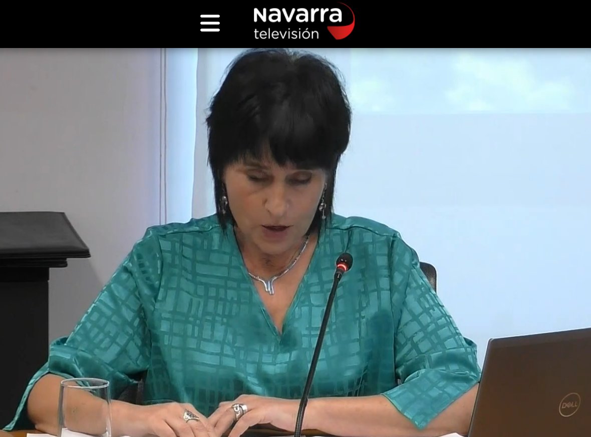 CatalinaDeFoix's tweet image. "La Presidenta no adjudica contratos", Chivite @PSNPSOE 
"No ahondemos más en esta desafección, que favorece a la ultraderecha", Aznal @EHBilduNafarroa. 
Título de la película: "La obra más transparente del Gobierno". Y Cerdán, a txirona.
La #transparencia #foral.