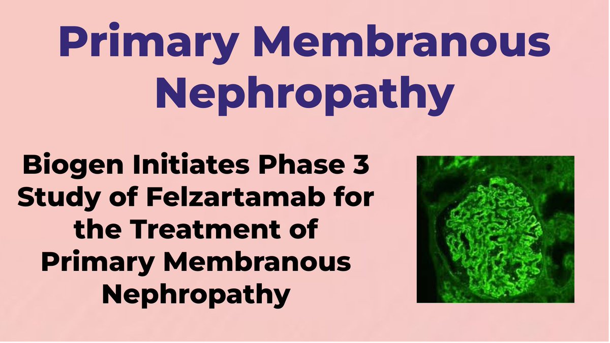 Biogen Initiates Phase 3 Study of Felzartamab for the Treatment of Primary Membranous Nephropathy - For More Information Visit  shorturl.at/O4bo1  <a href="/biogen/">Biogen</a>  #Primary_Membranous_Nephropathy  #PMN  #Rare_diseases