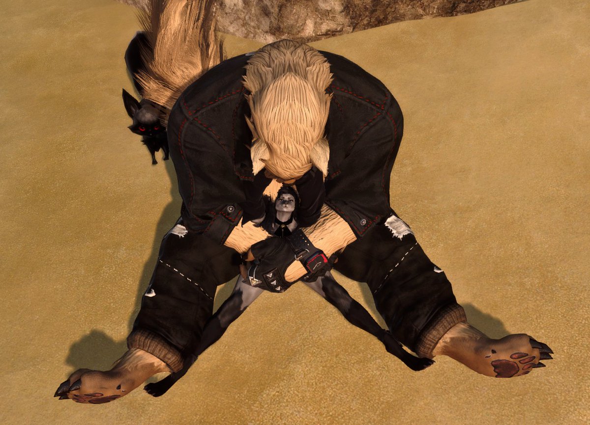 Vinny Valley tweet media