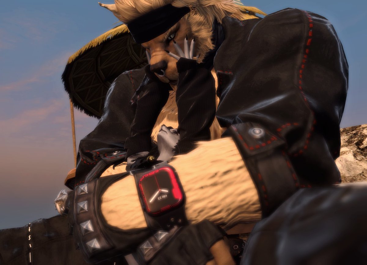 Vinny Valley tweet media