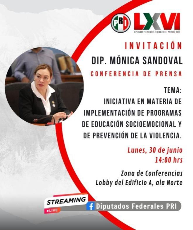 #soytuvozenelcongreso