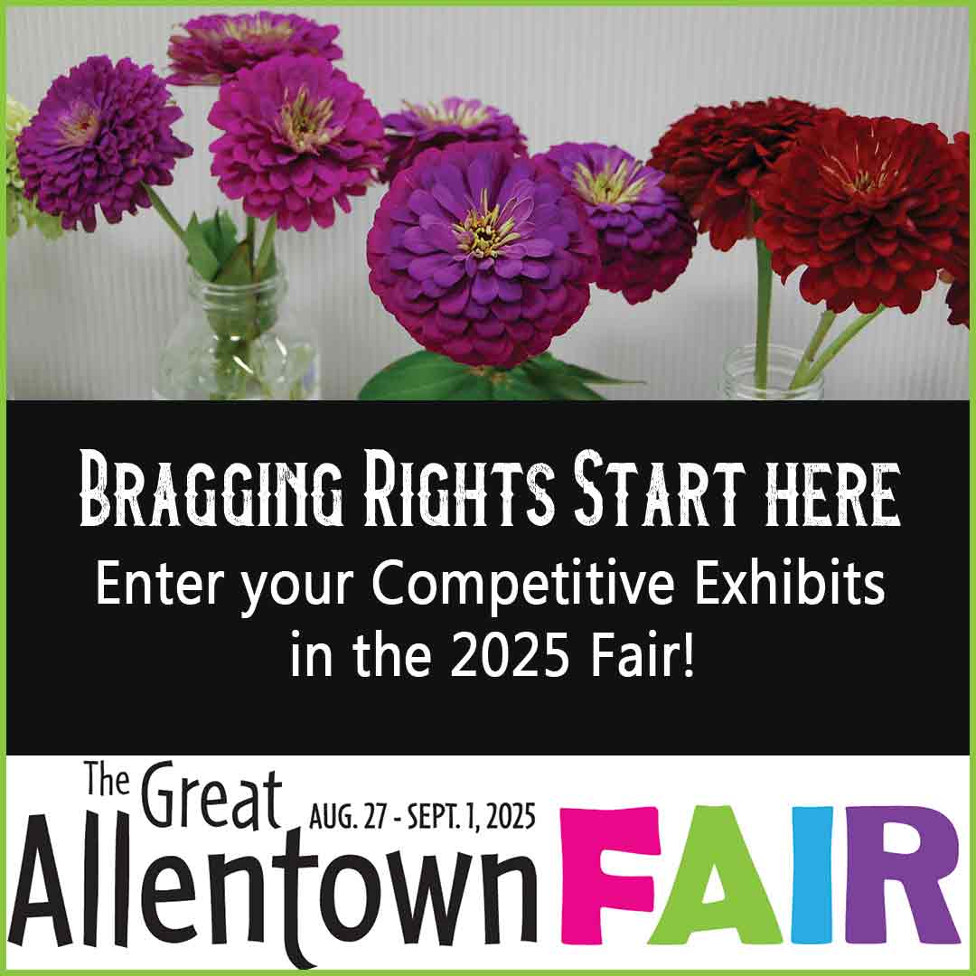 Got talent? Show it off at The Great Allentown Fair! From baking &amp; photography to garden harvests &amp; handmade crafts, there's a competition for everyone. Details &amp; entry info at AllentownFair.com under the Competitions section. Don't miss your chance to compete &amp; win!