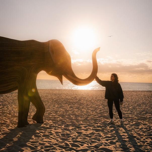 OneEarth's tweet image. #TheGreatElephantMigration has arrived in LA! 🐘

This traveling art installation features life-sized elephant sculptures handcrafted by Indigenous artists. Each one tells a story of #coexistence, raising awareness for elephant #conservation.

Learn more: thegreatelephantmigration.org