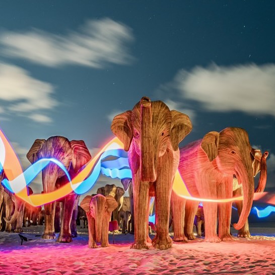 OneEarth's tweet image. #TheGreatElephantMigration has arrived in LA! 🐘

This traveling art installation features life-sized elephant sculptures handcrafted by Indigenous artists. Each one tells a story of #coexistence, raising awareness for elephant #conservation.

Learn more: thegreatelephantmigration.org