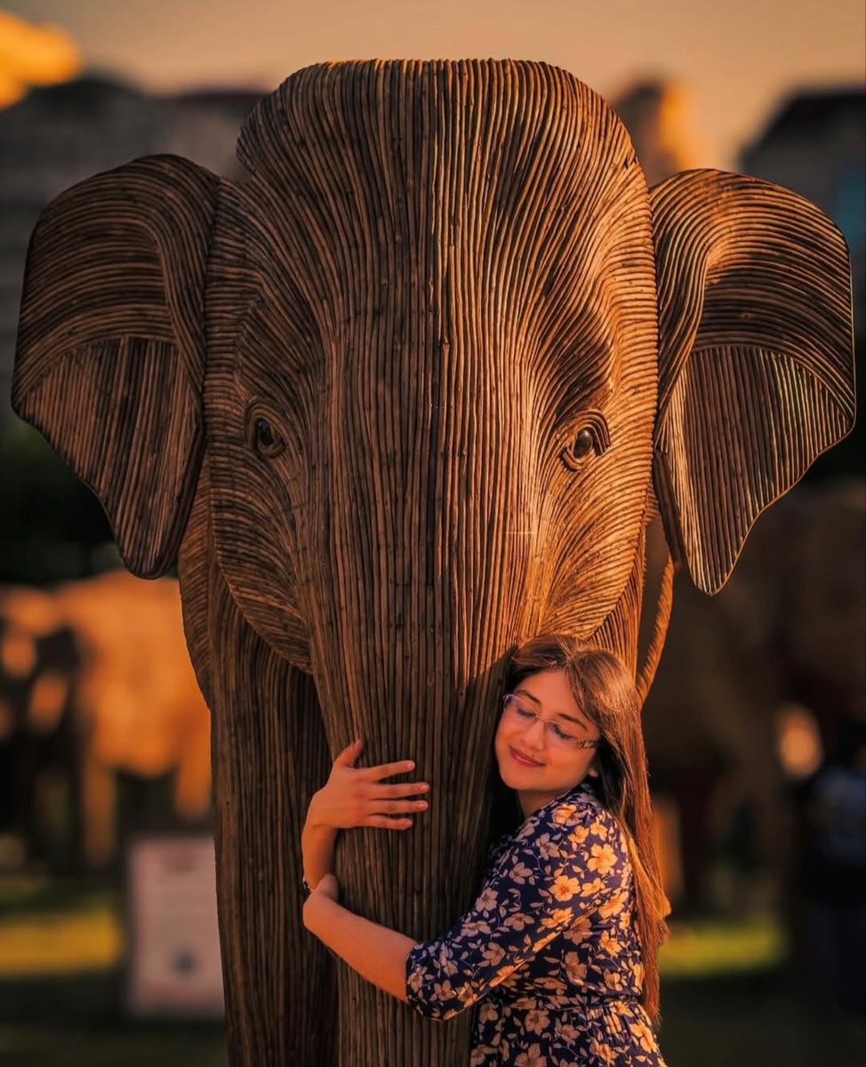 OneEarth's tweet image. #TheGreatElephantMigration has arrived in LA! 🐘

This traveling art installation features life-sized elephant sculptures handcrafted by Indigenous artists. Each one tells a story of #coexistence, raising awareness for elephant #conservation.

Learn more: thegreatelephantmigration.org