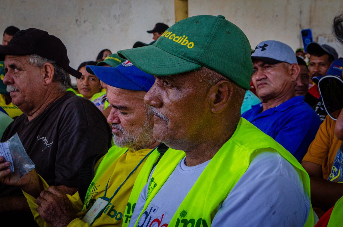 dimelobi tweet media