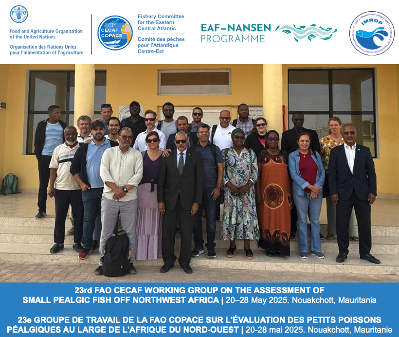 FAO_CECAFCOPACE's tweet photo. Groupe de travail #COPACE (pêches petits pélagiques nord-ouest) se réunit à Nouakchott.

Soutenu par le #EAFNansen et accueilli par #IMROP, les scientifiques des pêches se réunissent pour:

🔍 Réviser les données
📊 Évaluer l'état des stocks
🐟 Établir des recommandations https://t.co/hG4llKOv81