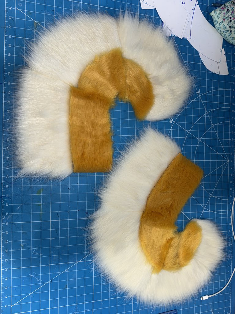 starbrightsuits's tweet image. Husky tail wip! 💗