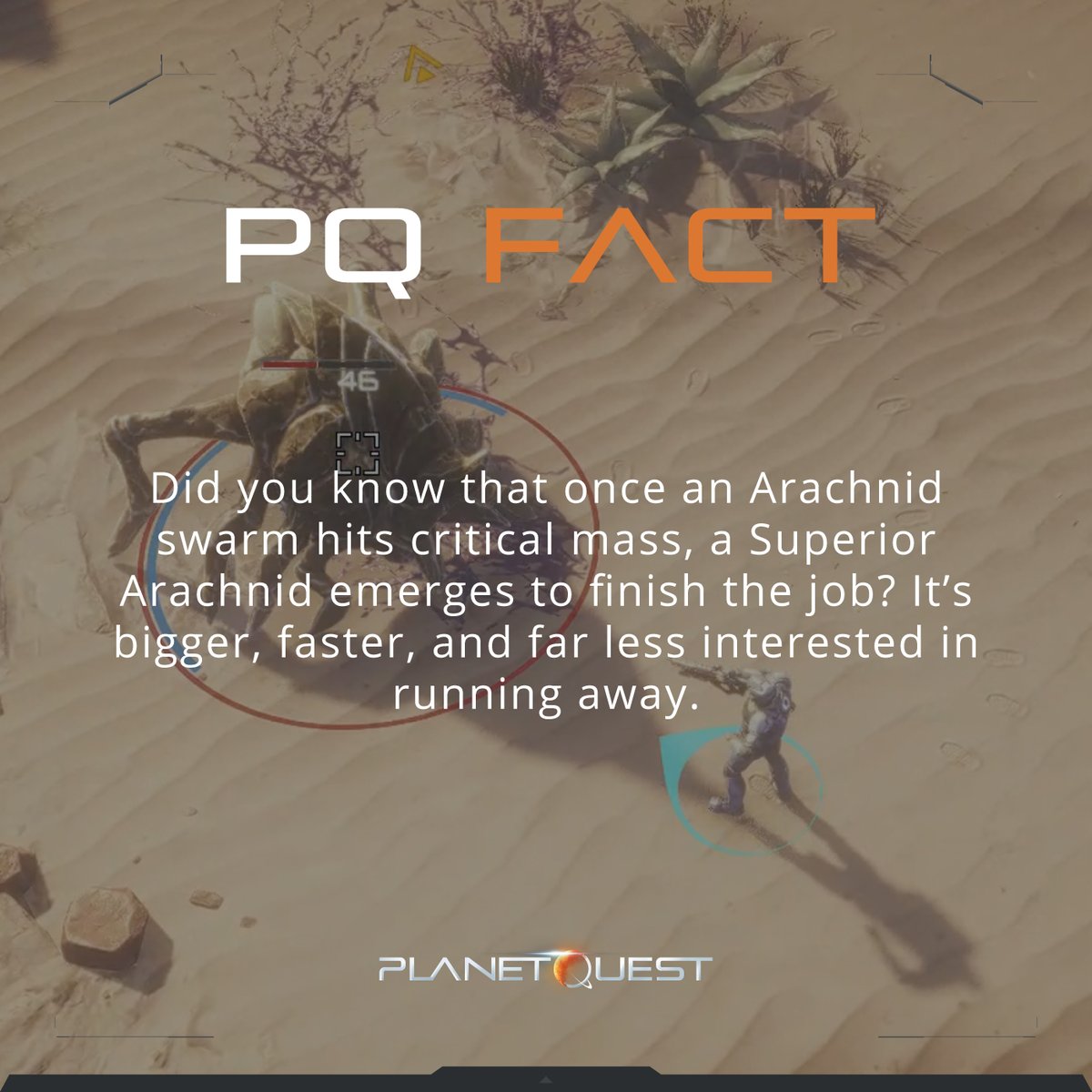 JoinPlanetQuest's tweet image. #PQFact time 🚨

Did you know that once an Arachnid swarm hits critical mass, a Superior Arachnid emerges to finish the job? 🕷️

So, loot fast, or be ready to run. 💨🕸️