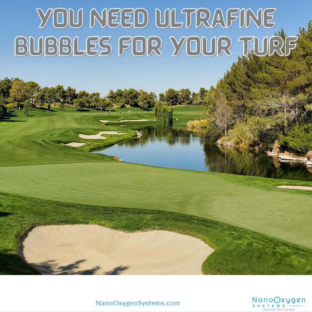 NanoOxygen Systems tweet media